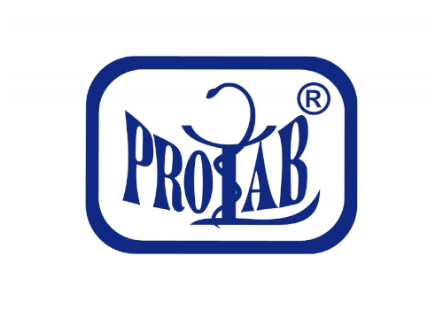 Pro Lab