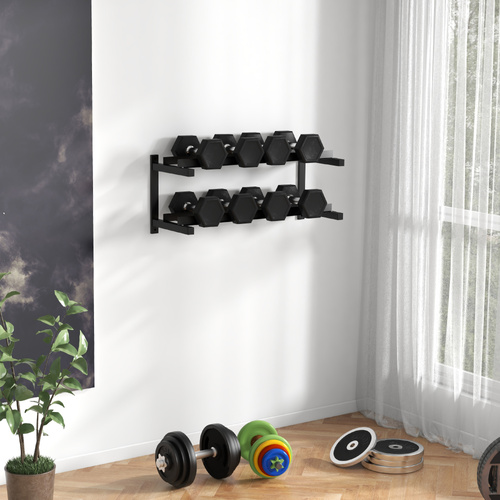 SPORTNOW Wall-Mounted Dumbbell Rack, 2-Tier Weight Stand, Space-Saving and Multi-Functional Steel organiser for Home Gym, Black