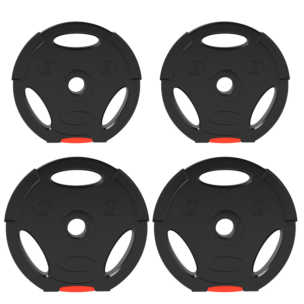 SPORTNOW Weight Plates Set, with Two 7.5kg and Two 5kg weights, Black