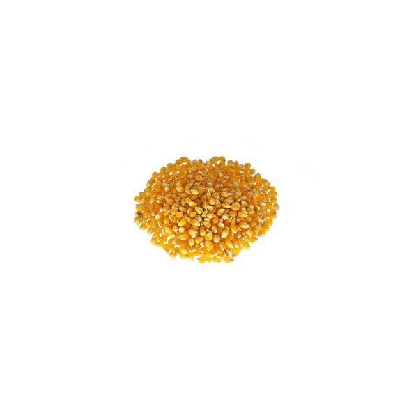 Młyn Kopytowa Corn Popcorn 500g
