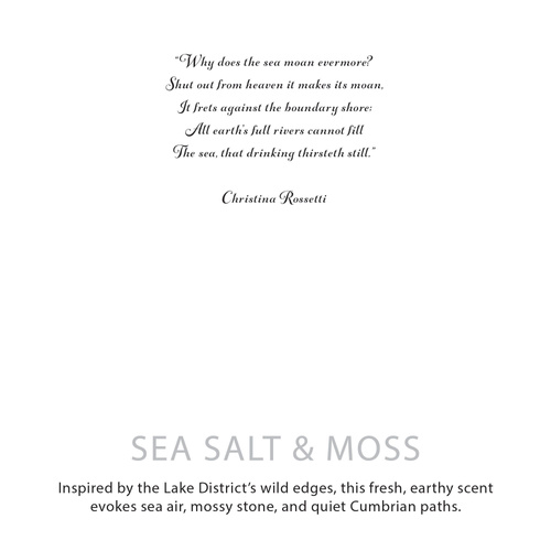 Agnes + Cat Botanical Soy Wax Candle - Seasalt & Moss