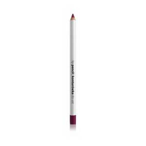 Paese Lip Liner Konturówka do Ust Nr 15 2g