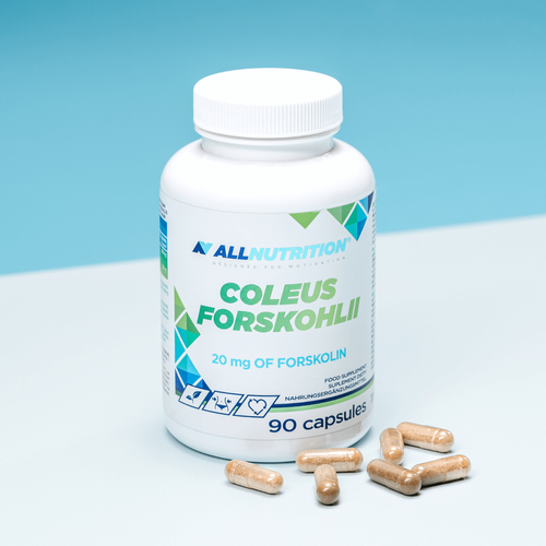 Allnutrition Coleus Forskohlii Wspiera Utrzymanie Wymarzonej Sylwetki 90 Kapsułek