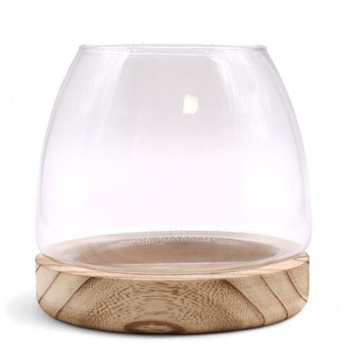 Medium Terrarium on Natural Tung Wood