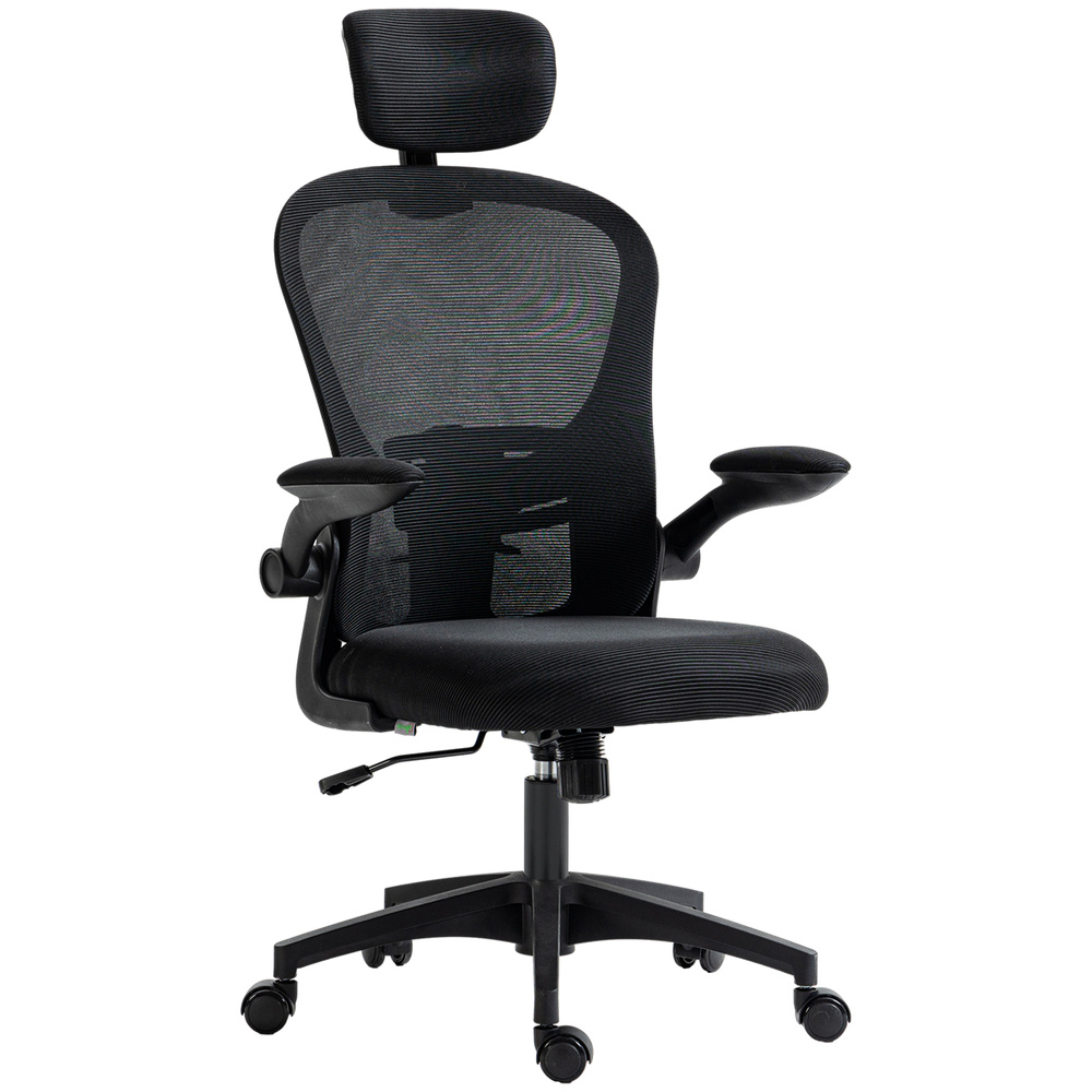 Vinsetto Multi-Adjustable Office Chair, with Lumbar Support, Headrest and Mesh Back - Black