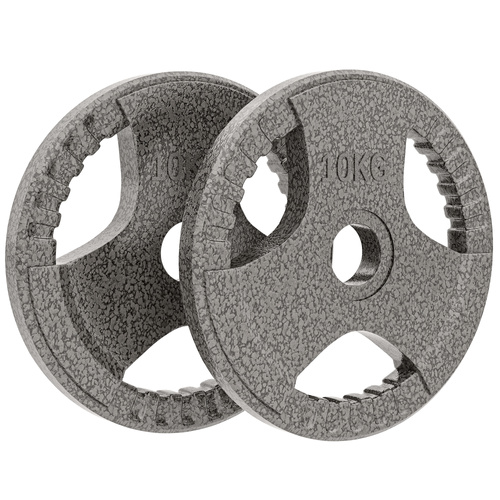 HOMCOM Set of 2 Cast Iron Weight Plates for 2 inch/5cm Hole Dumbbell Handle Bar, 20kg Dumbbell Plates Barbell Weight 2 x 10kg